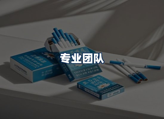 专业团队